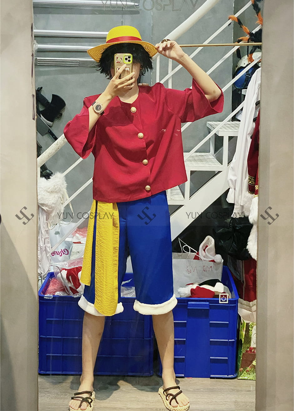 monkey-d-luffy-seasson-9-1